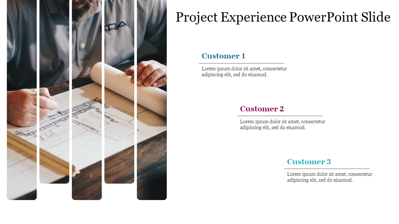 Project Experience PowerPoint Slide